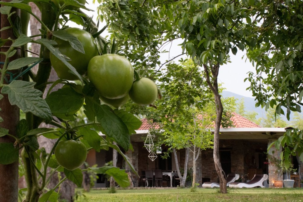 Ολοκλήρωση της εκπαιδευτικής χρονιάς 2019 -2020 για το ΙΙΕΚ Δήμου Βόλου της ΚΕΚΠΑ – ΔΙΕΚ